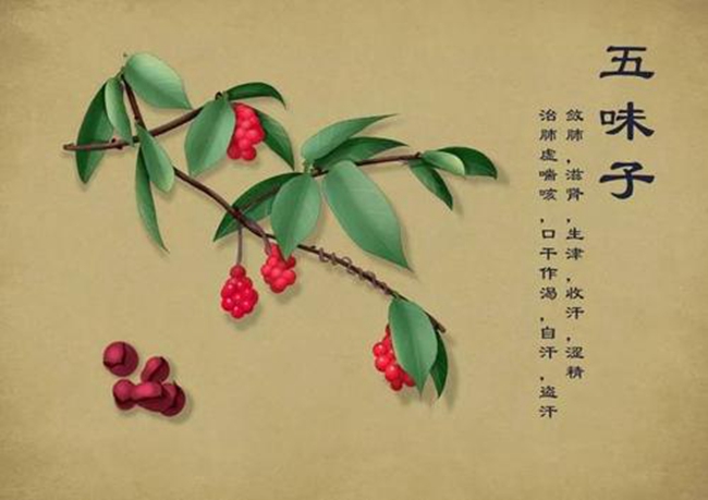 韦德官方网站科技
