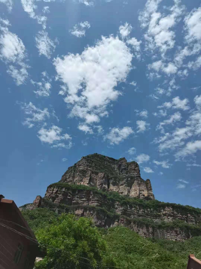 韦德官方网站科技
