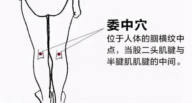 韦德官方网站科技