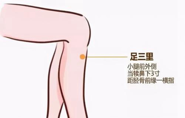 韦德官方网站科技