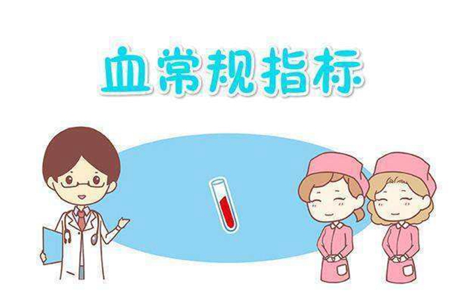 韦德官方网站科技